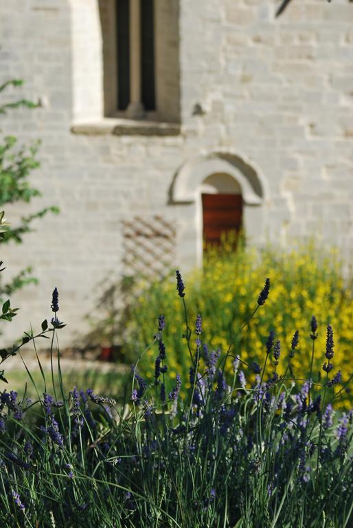 B&B San Paterniano Cingoli Extérieur photo